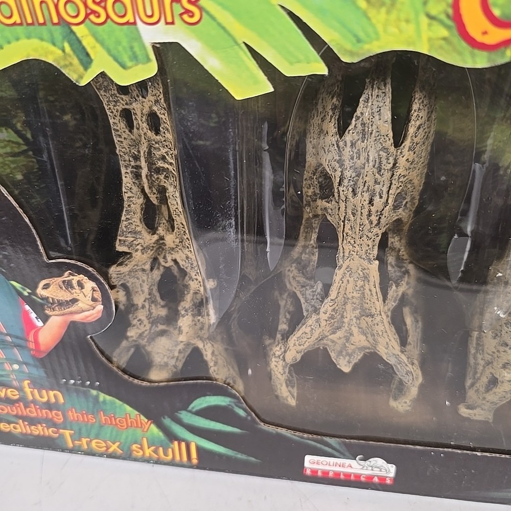 Geolinea Fossil Replicas T-Rex Dinosaur Skull High‎ Definition 1:10 Replica - Picture 5 of 13
